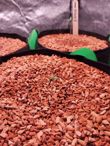 IMG_20241120_180901 - Kopie