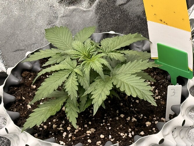 Growreport Bild 10