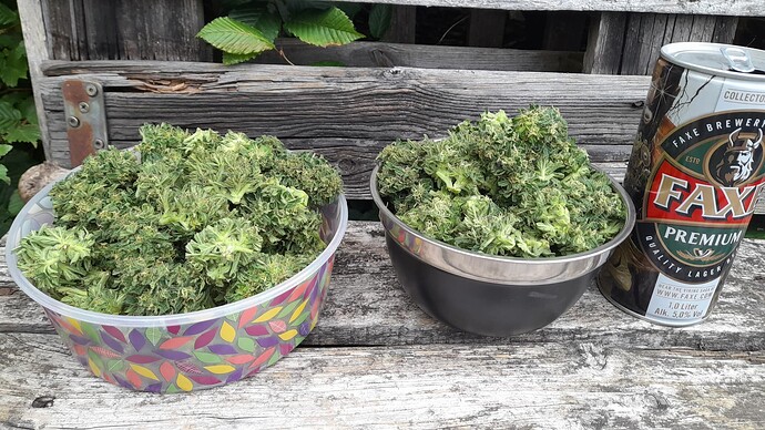 Growreport Bild 1