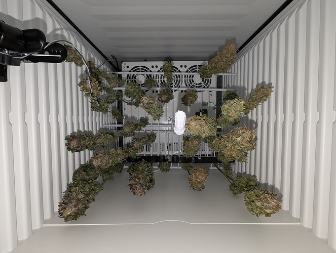 PXL_20240709_110503169