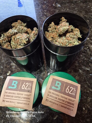 Growreport Bild 12