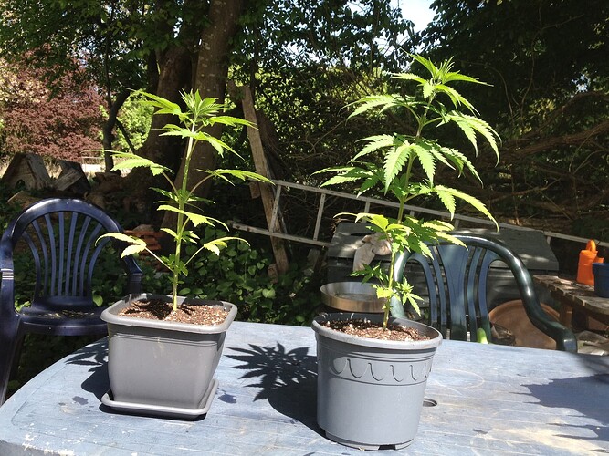 Growreport Bild 22