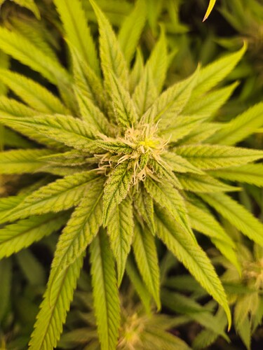 Growreport Bild 9
