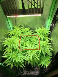 WhatsApp Bild 2024-12-10 um 16.18.18_f774bb90