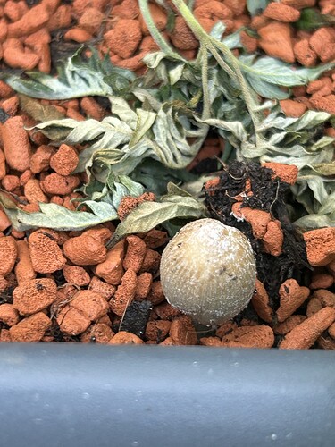 Growreport Bild 23