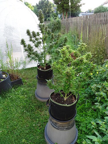 Growreport Bild 23