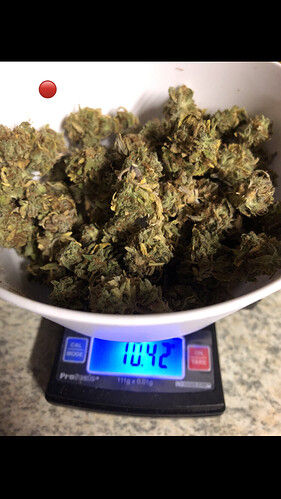Growreport Bild 1
