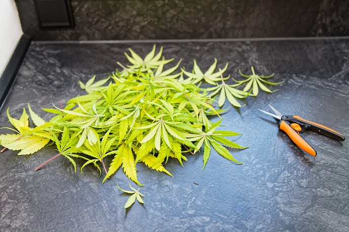 Growreport Bild 15