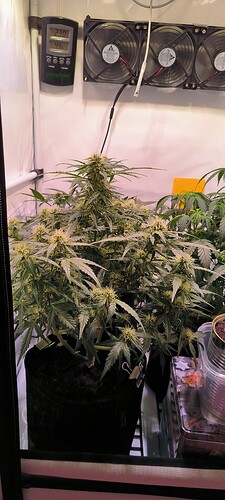 Growreport Bild 24