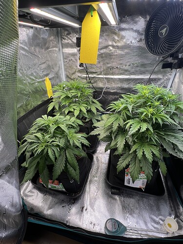 Growreport Bild 5