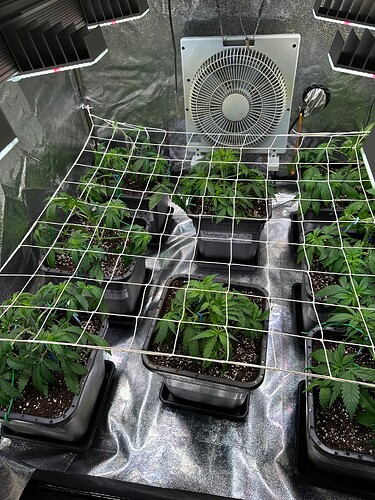 Growreport Bild 58