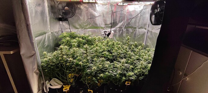 Growreport Bild 11