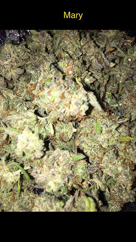 Growreport Bild 6