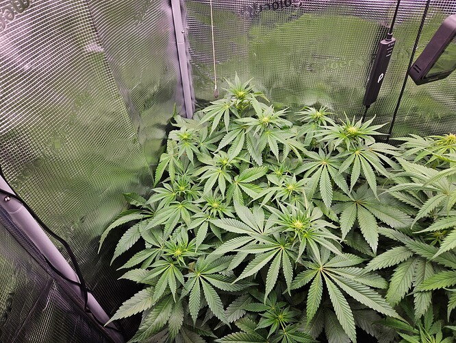 Growreport Bild 10