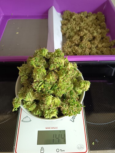 Growreport Bild 5