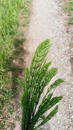 Growreport Bild 1