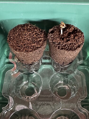 Growreport Bild 2