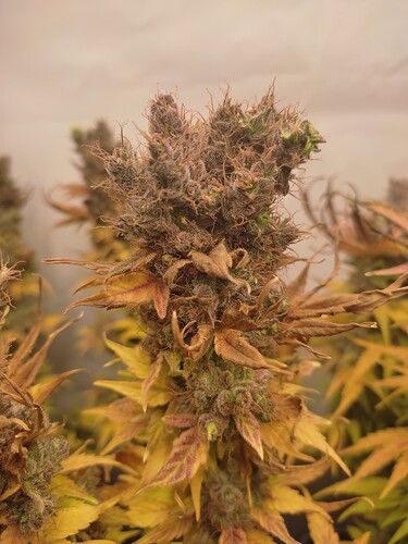 Growreport Bild 9