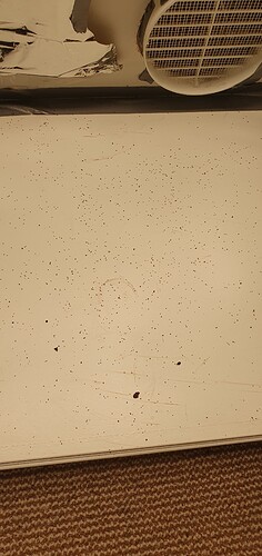 20240527_174906