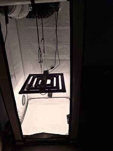Growreport Bild 4