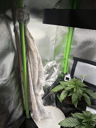 Growreport Bild 12