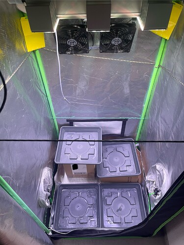 Growreport Bild 7