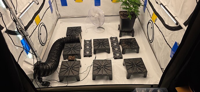 Growreport Bild 67