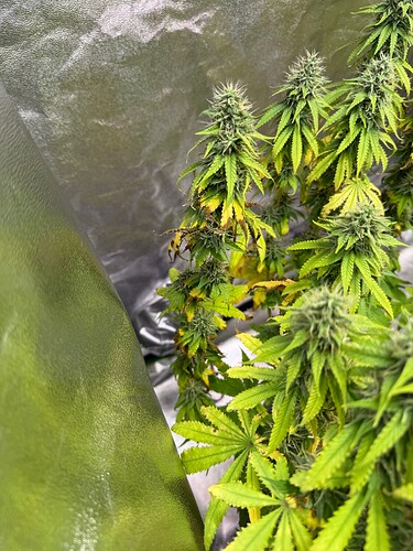 Growreport Bild 14