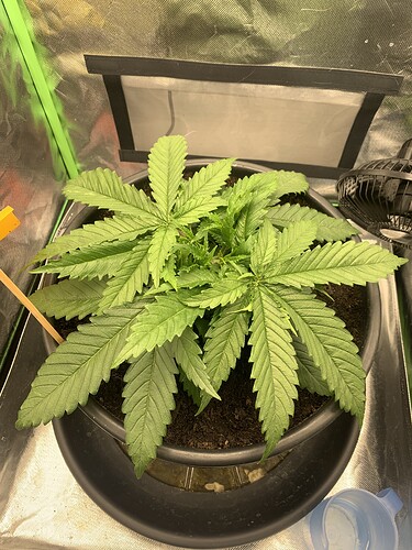 Growreport Bild 10
