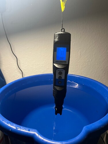 Growreport Bild 19
