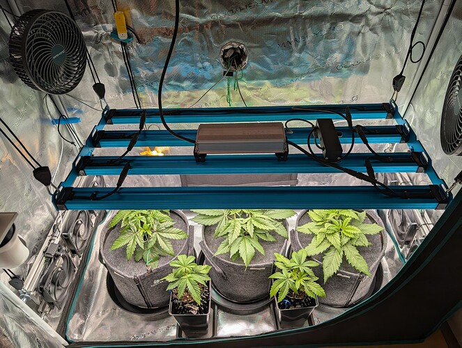 Growreport Bild 21