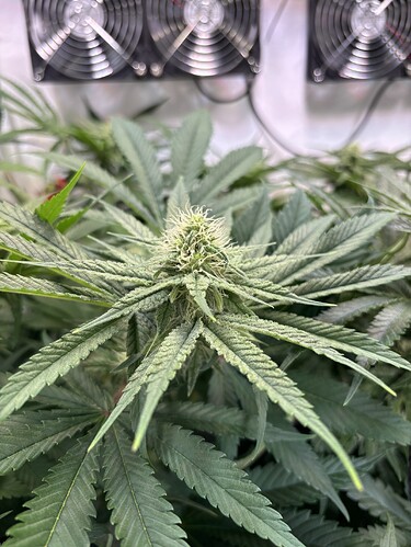 Growreport Bild 24