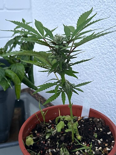 Growreport Bild 22