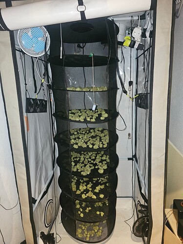 Growreport Bild 19