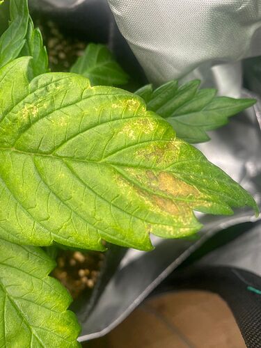 WhatsApp Bild 2024-04-22 um 19.37.14_0a313d02