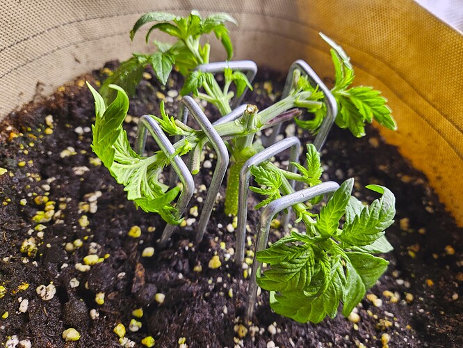 Growreport Bild 30