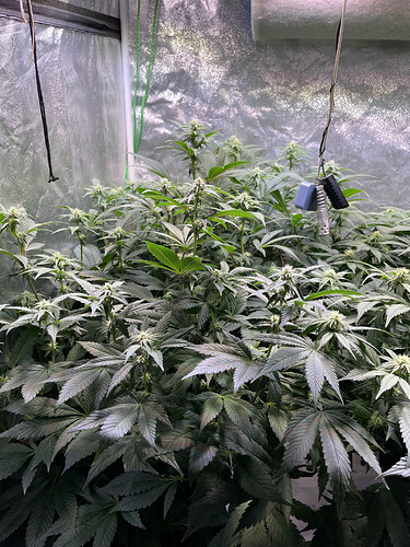 Growreport Bild 8