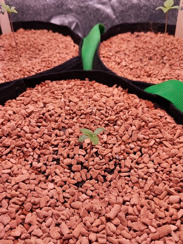 IMG_20241122_184822 - Kopie