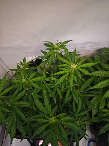 MVIMG_20251019_223829