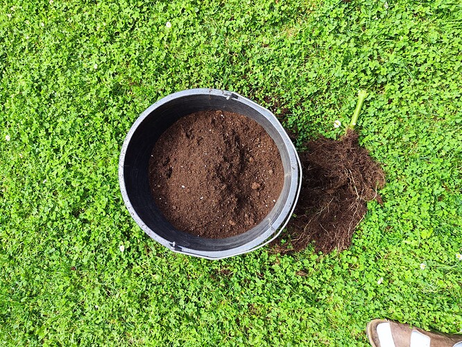 Growreport Bild 13