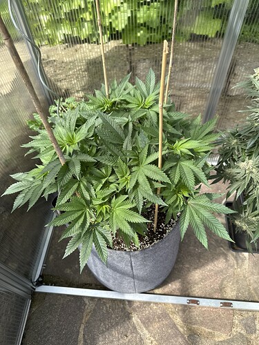 Growreport Bild 11