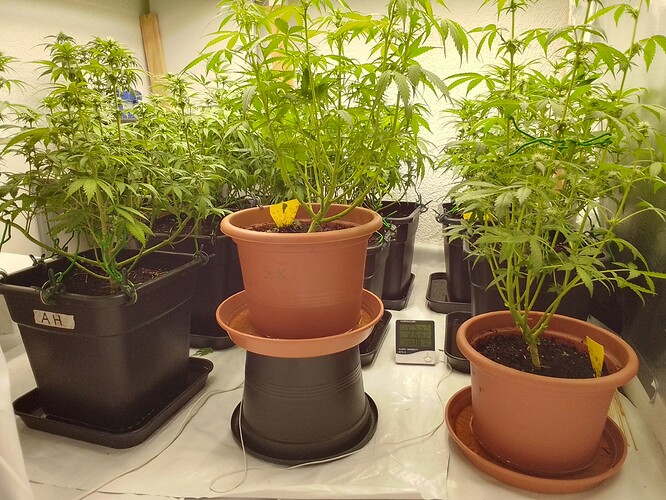 Growreport Bild 9