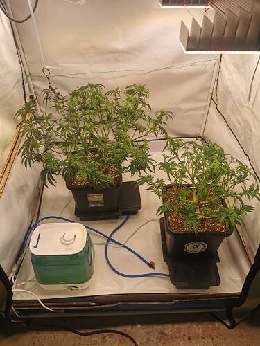 Growreport Bild 2