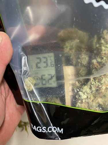 Growreport Bild 45