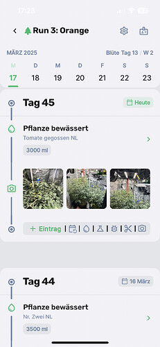 Growreport Bild 3