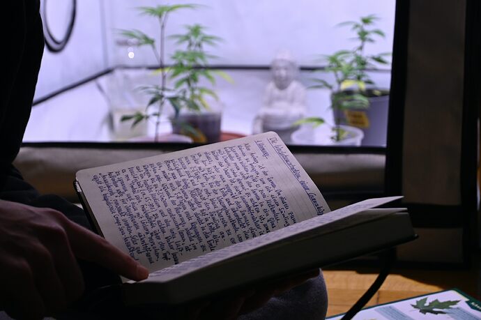 Bildschirmfoto 2025-01-05 um 16.50.24