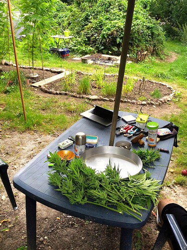 Growreport Bild 2