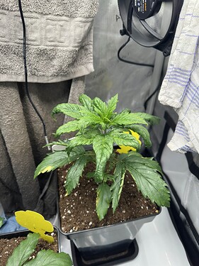 Growreport Bild 24