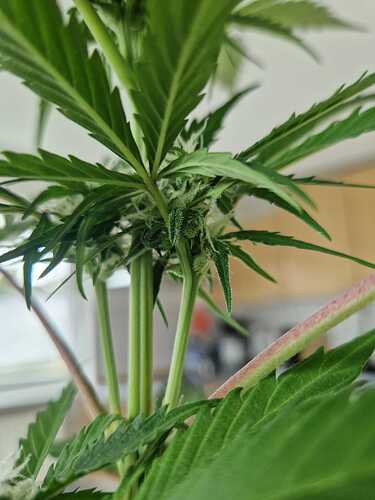 WhatsApp Image 2024-05-24 at 16.08.18