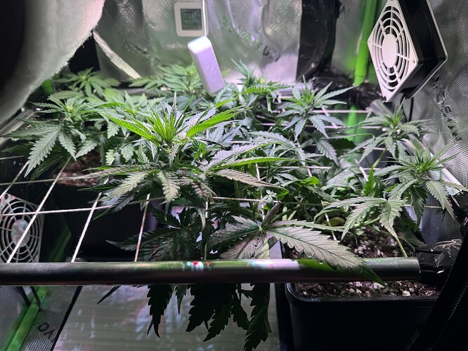 Growreport Bild 1
